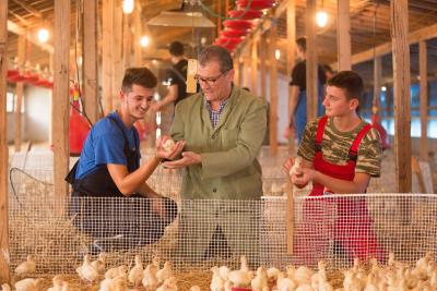 Project επιχειρηματικότητας ζωικής παραγωγής - Εκτροφή και εμπορία κοτόπουλων